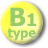 B1 type